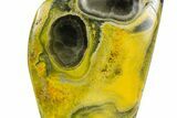 Very Vibrant, Free-Standing Polished Bumblebee Jasper #373366-1